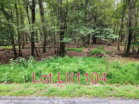 1104 Hunter Lane Albrightsville PA 18210