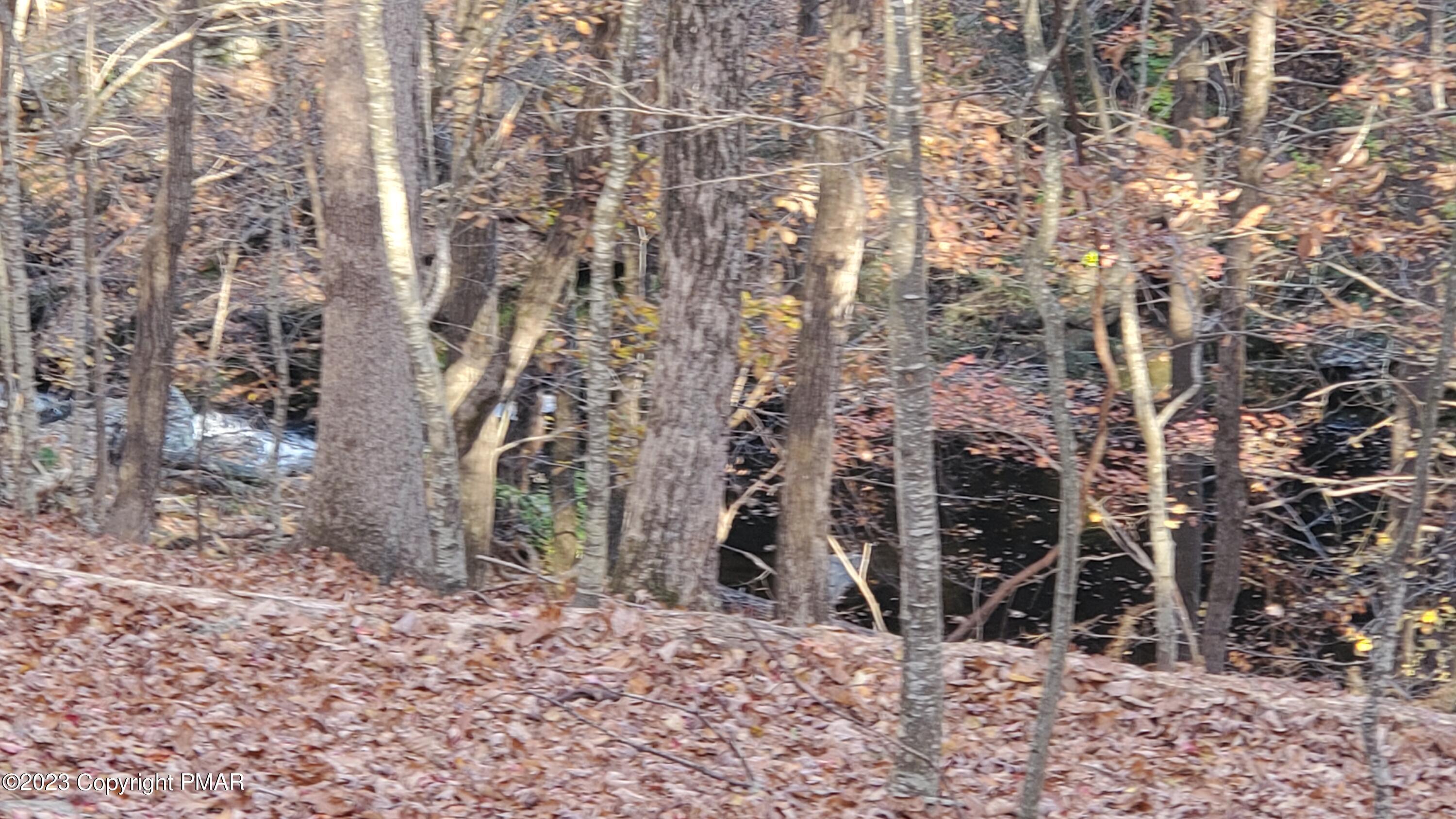 107 Woods Lane, Bushkill, Pennsylvania image 20