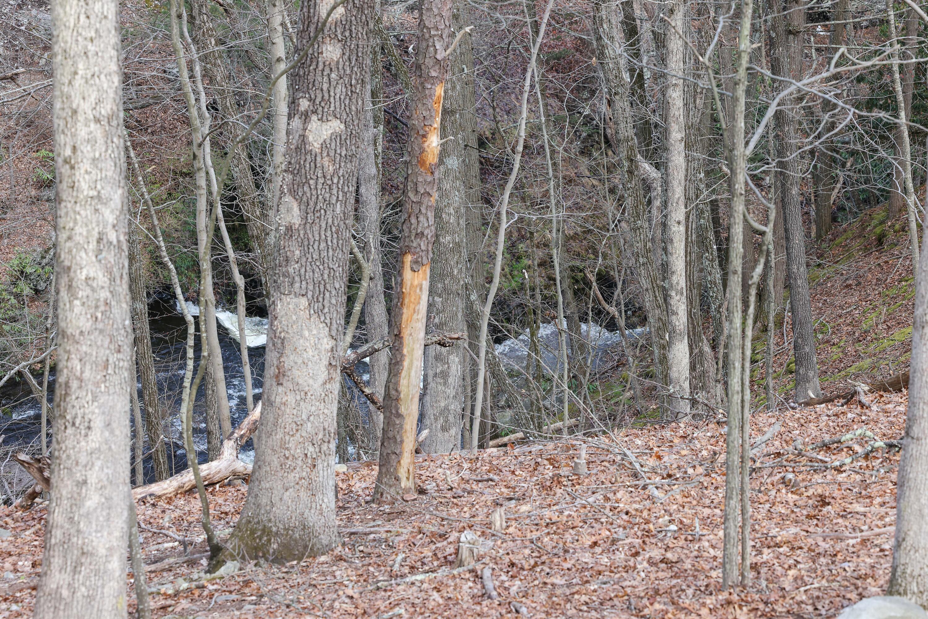107 Woods Lane, Bushkill, Pennsylvania image 29