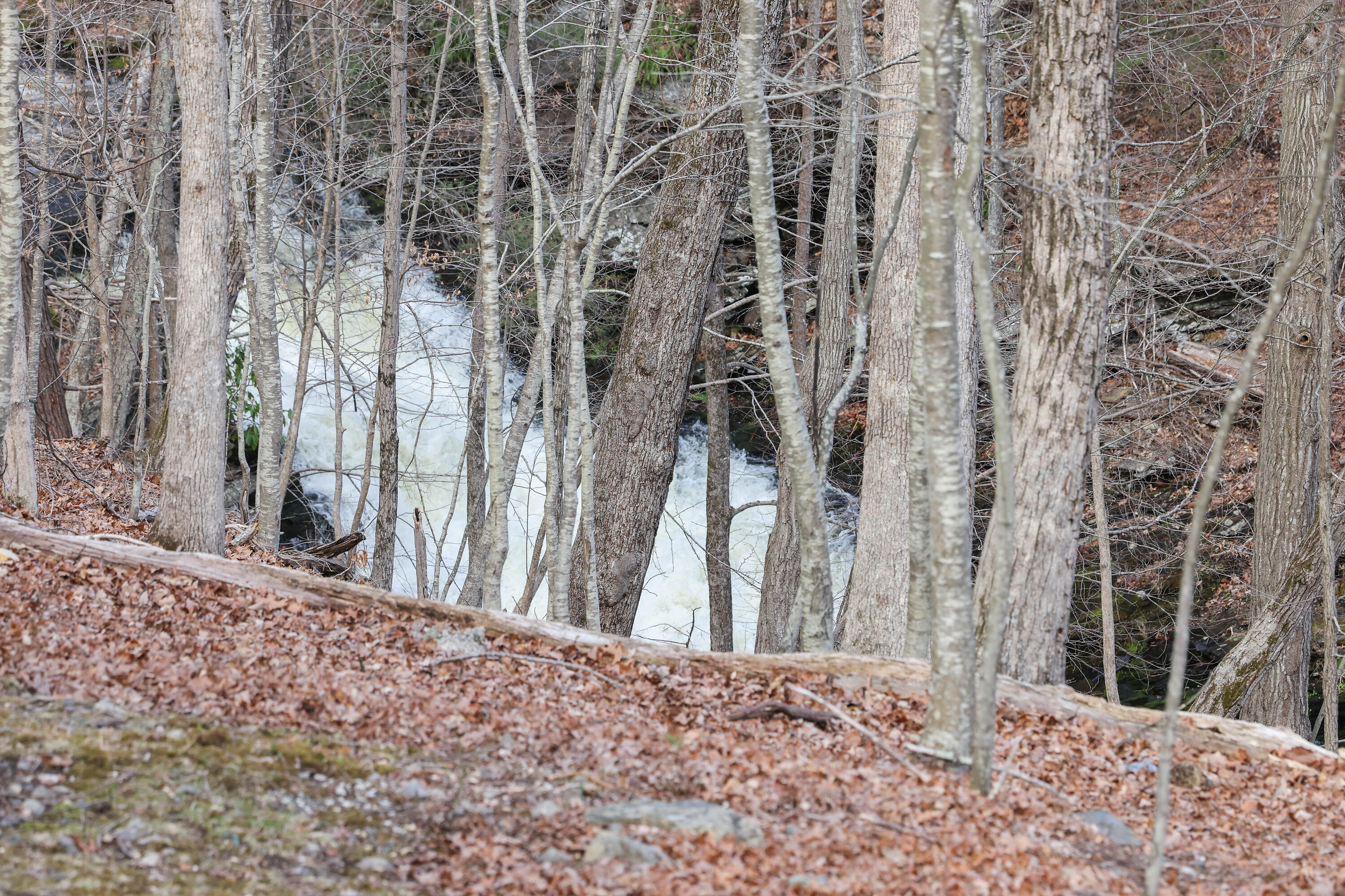 107 Woods Lane, Bushkill, Pennsylvania image 28