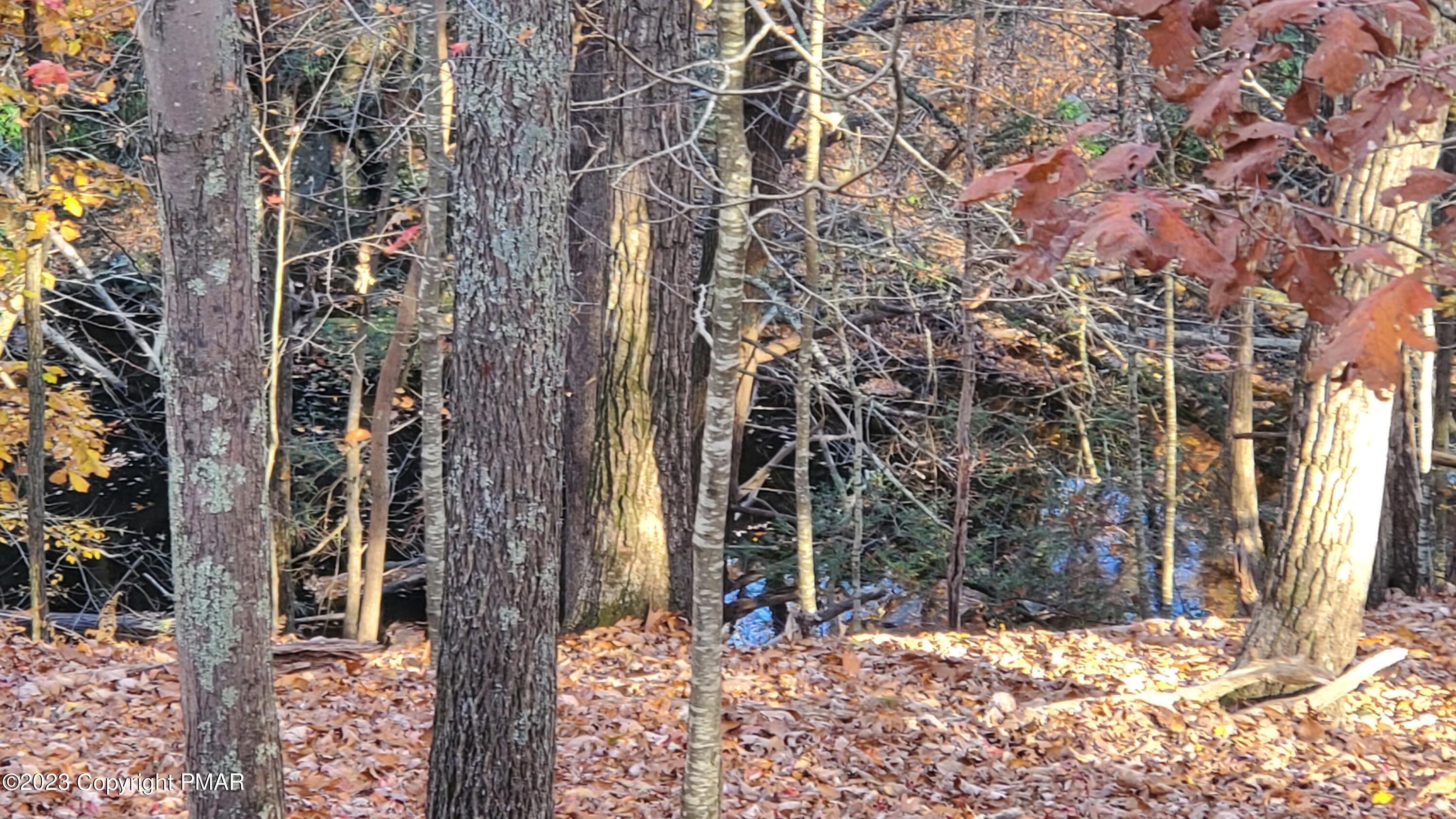 107 Woods Lane, Bushkill, Pennsylvania image 19