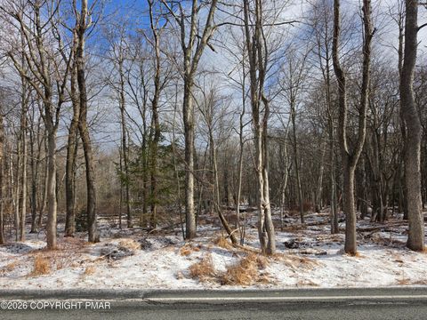 Vacant Land For Sale - LOT FP1724 E Old Stage Road<br/> Carbon County, Albrightsville, PA 18210