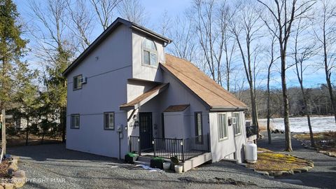 254 N Arrow Drive Pocono Lake PA 18347
