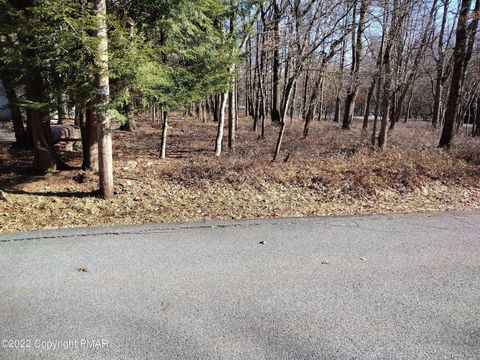 Vacant Land For Sale - 11 Cheilo Path<br/> Monroe County, Pocono Lake, PA 18347