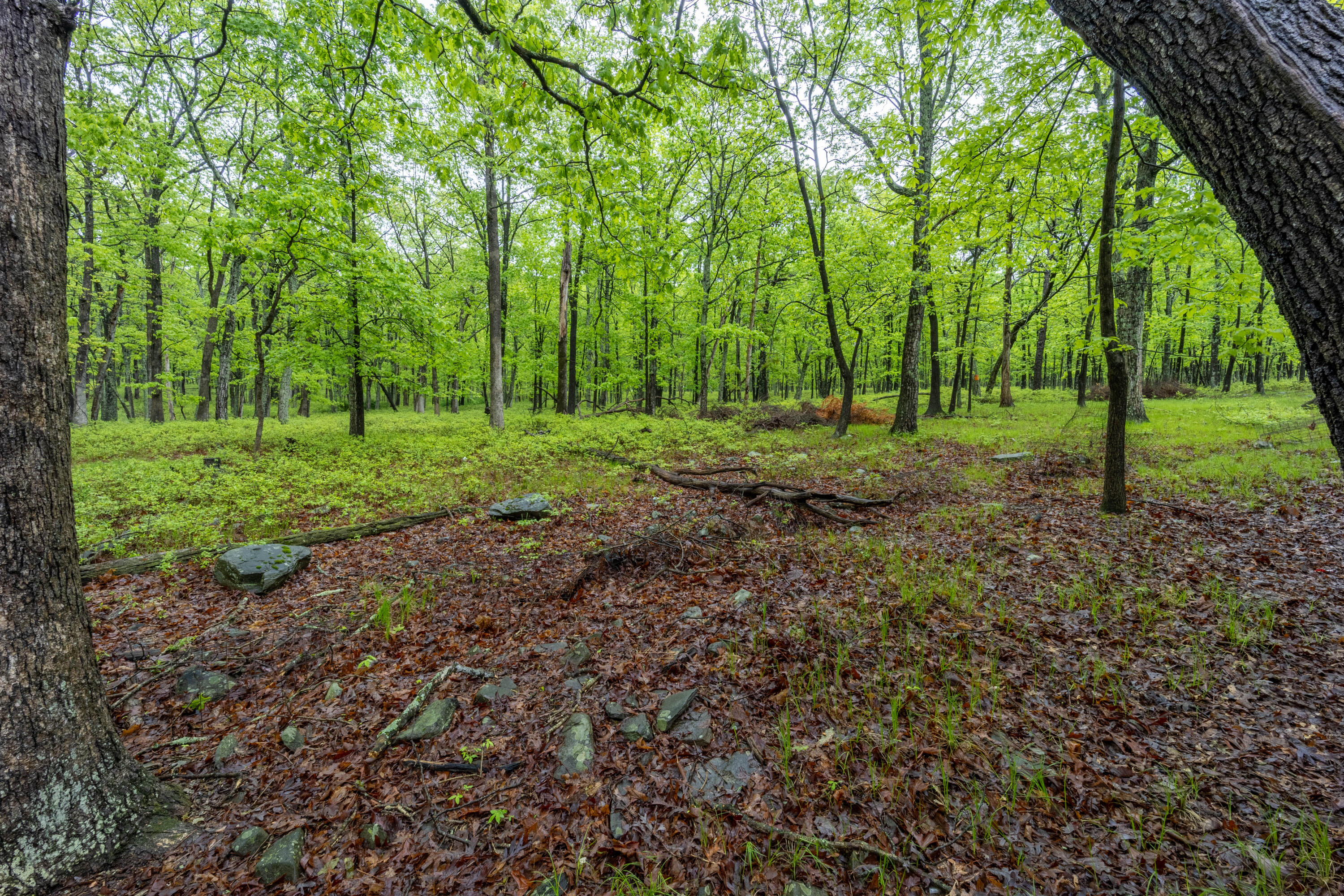 5135 E Woodbridge Drive Dr, Bushkill, Pennsylvania image 32