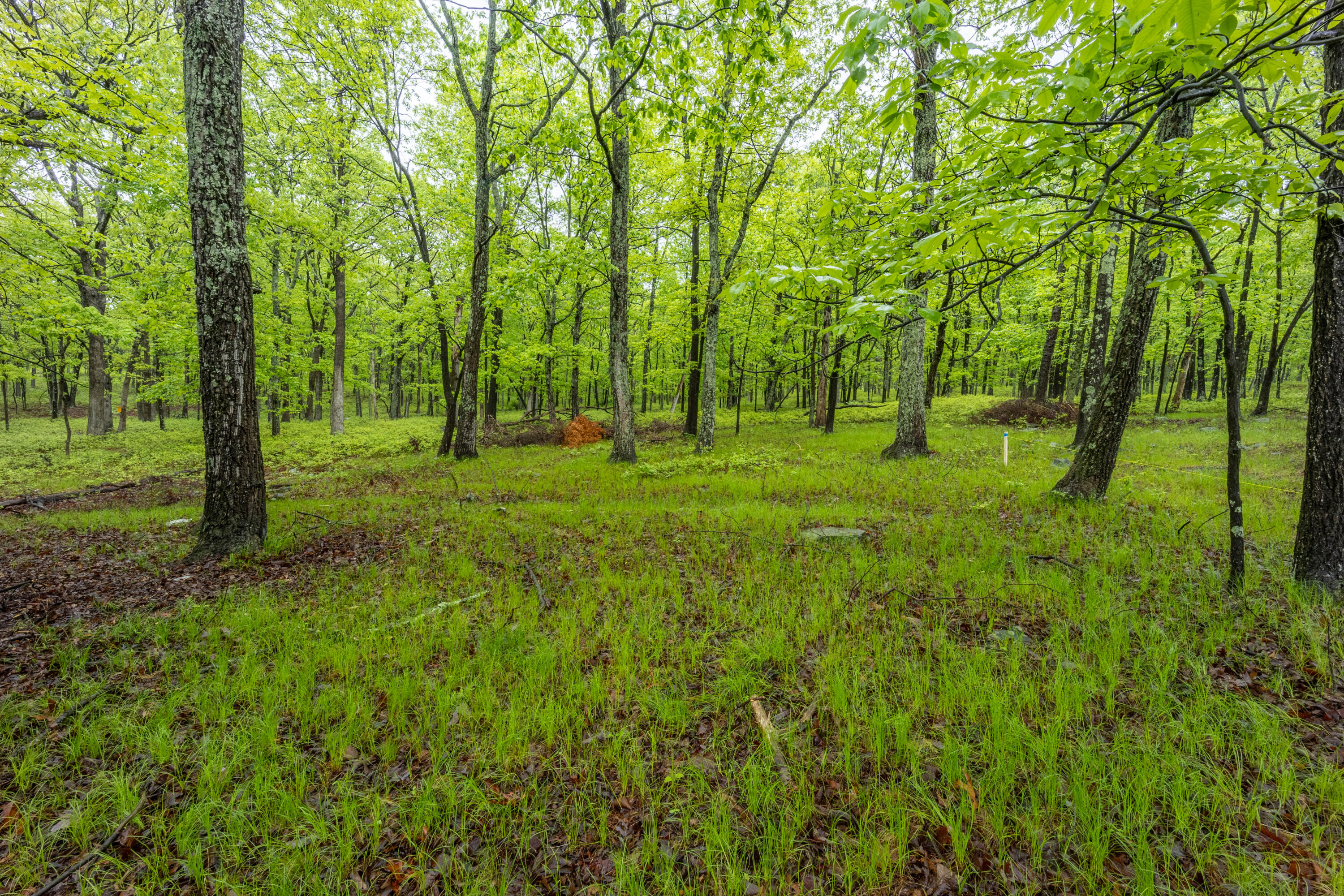 5135 E Woodbridge Drive Dr, Bushkill, Pennsylvania image 33