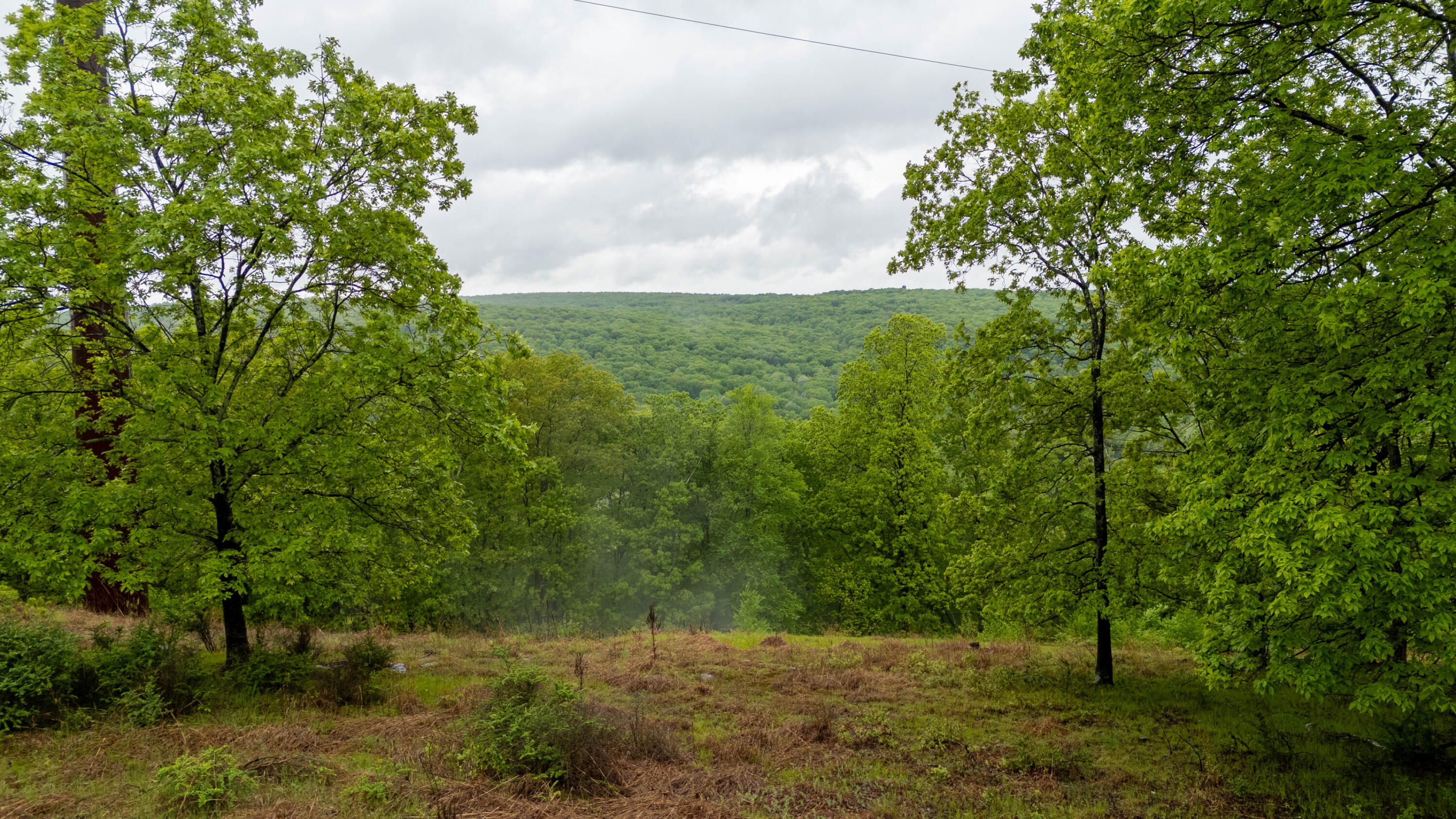 5135 E Woodbridge Drive Dr, Bushkill, Pennsylvania image 36
