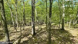 Spring Court, Bushkill, Pennsylvania image 3
