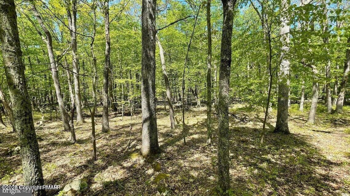 Spring Court, Bushkill, Pennsylvania image 8