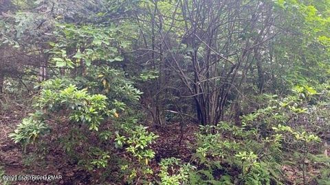 Vacant Land For Sale - 9 Sky Hawk Trail<br/> Scotrun, PA 18355