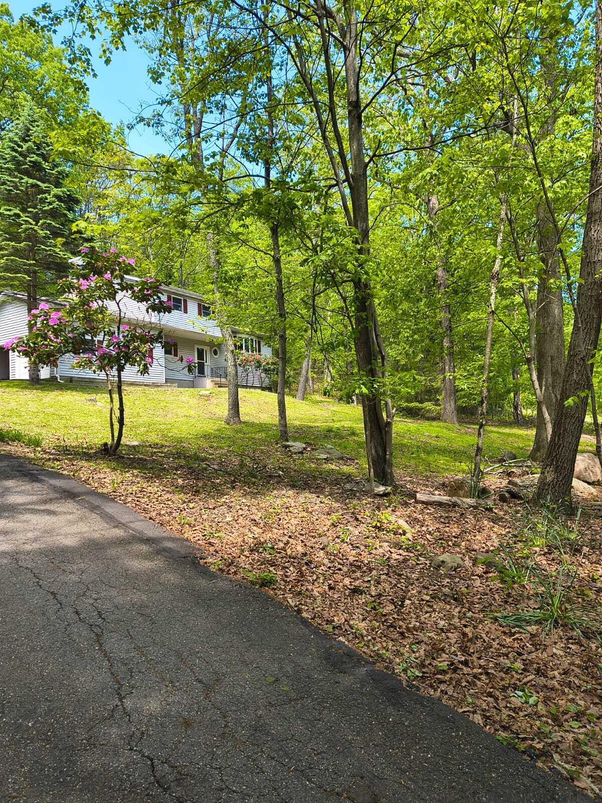 1019 Jackson View Road, Stroudsburg, Pennsylvania image 6