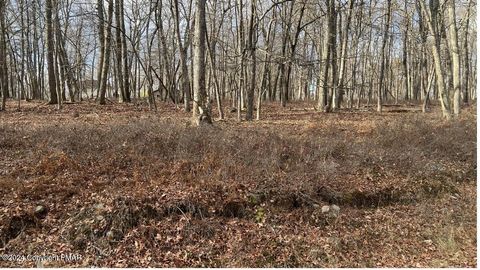 Vacant Land For Sale - LOT 288 Doe Loop<br/> Bushkill, PA 18324