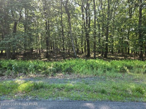 44 Whippoorwill Drive Bushkill PA 18324