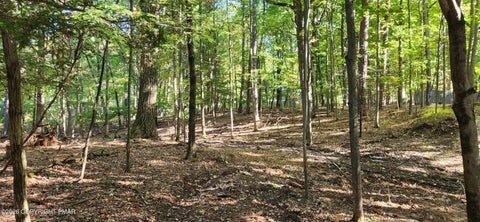 Vacant Land For Sale - Goldfinch Pl Place<br/> Monroe County, Mount Pocono, PA 18344