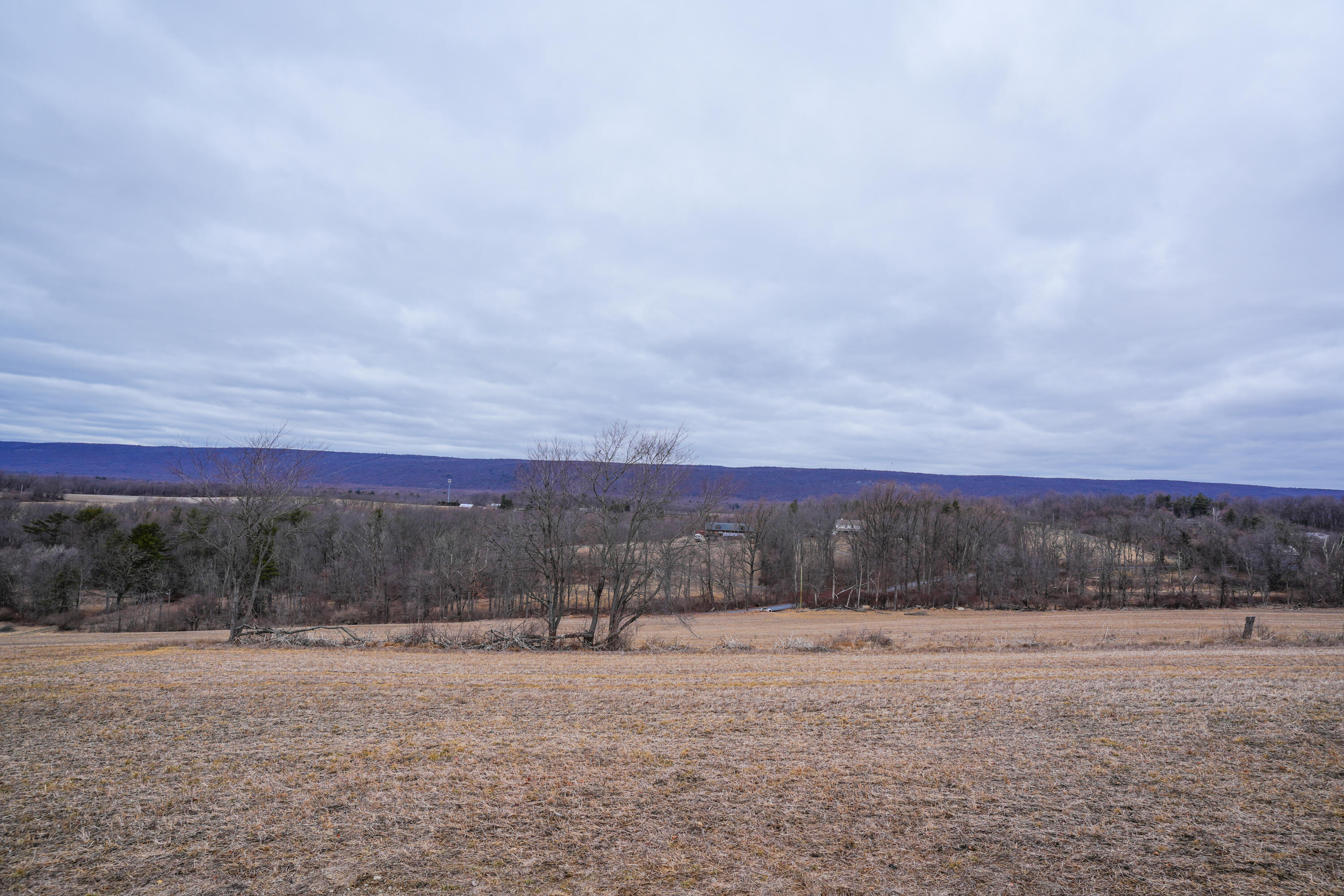 2929 Derhammer Road, Bath, Pennsylvania image 16