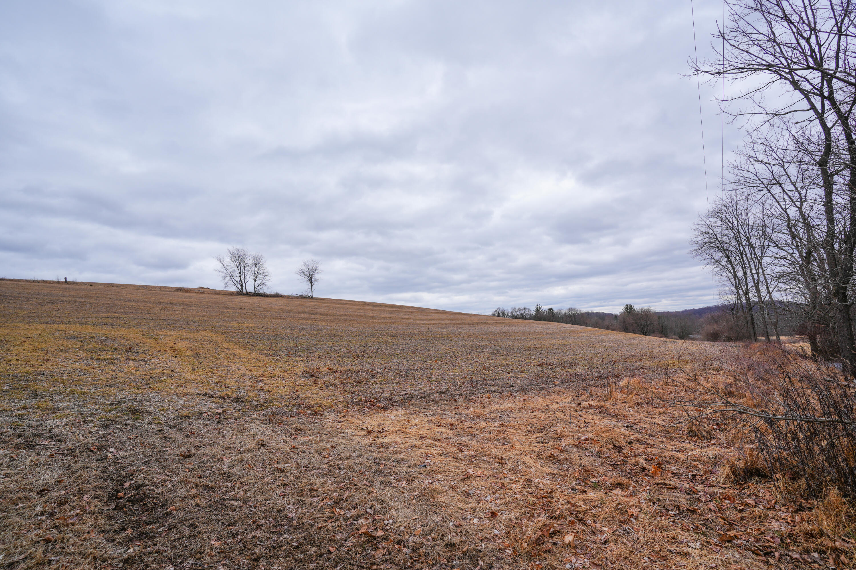 2929 Derhammer Road, Bath, Pennsylvania image 2