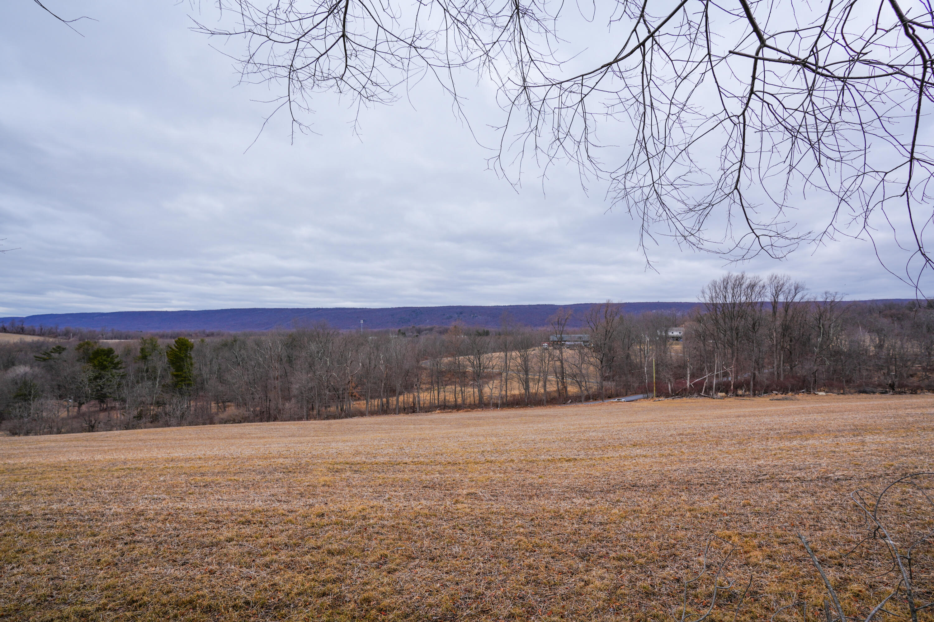 2929 Derhammer Road, Bath, Pennsylvania image 13