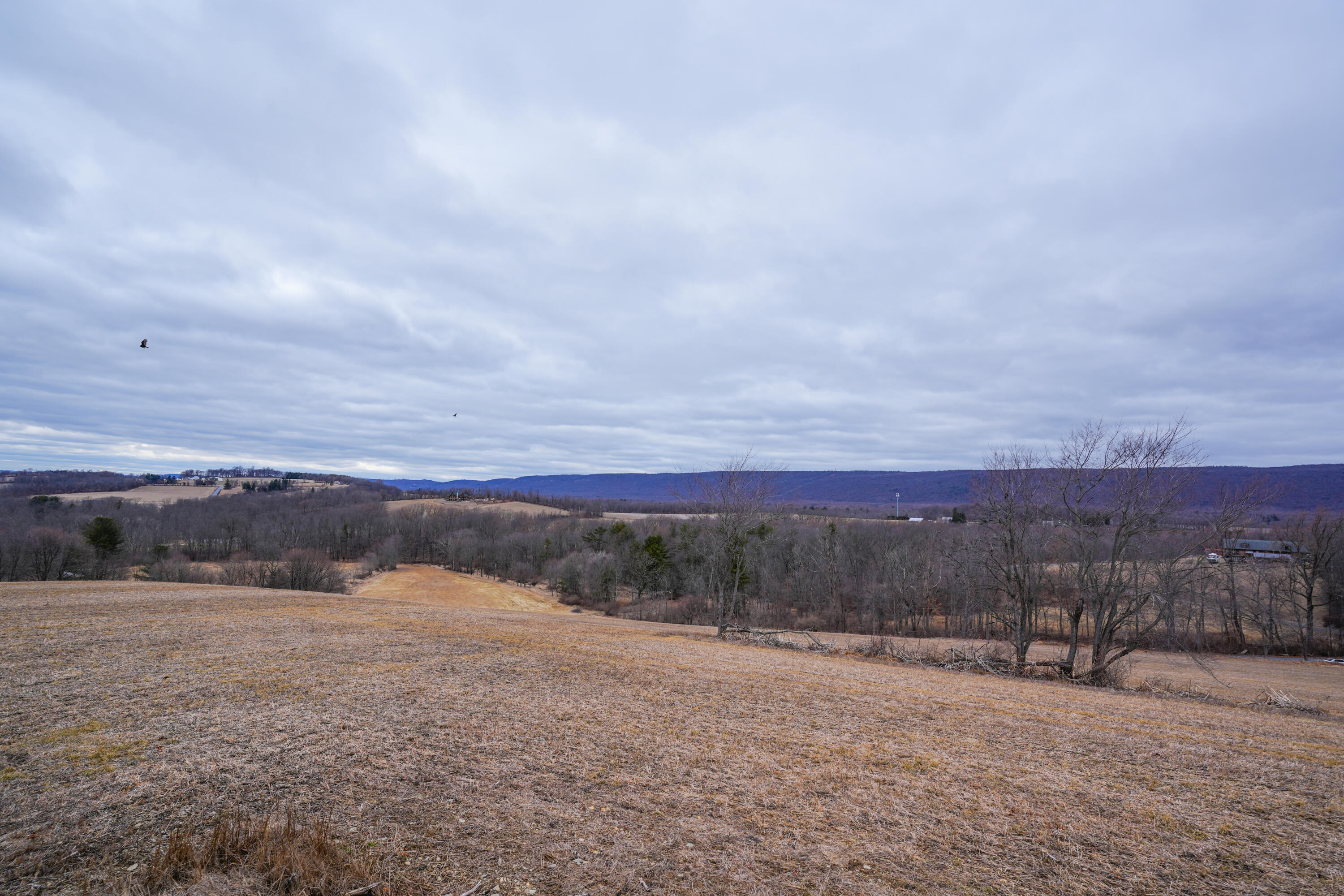2929 Derhammer Road, Bath, Pennsylvania image 17