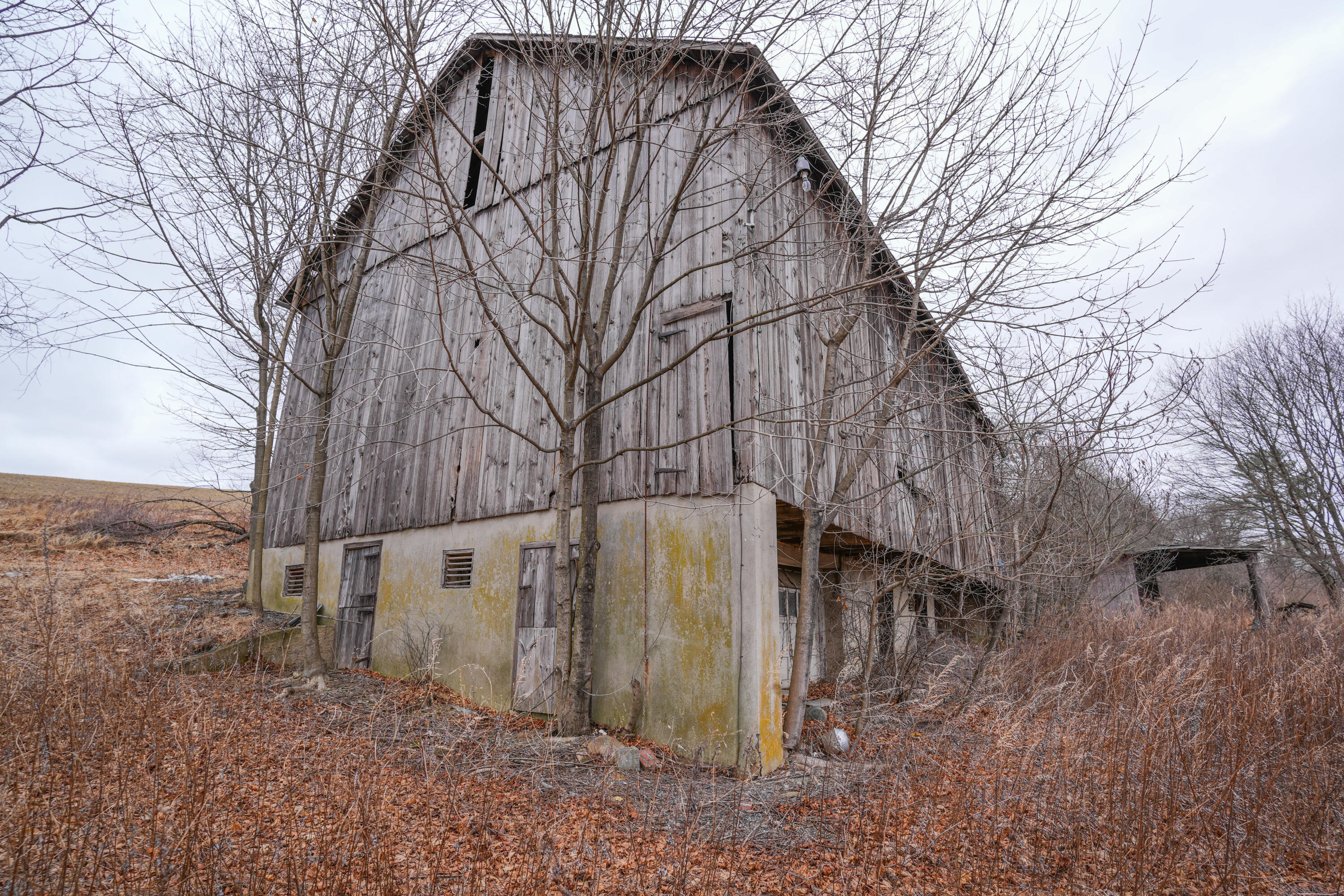 2929 Derhammer Road, Bath, Pennsylvania image 25