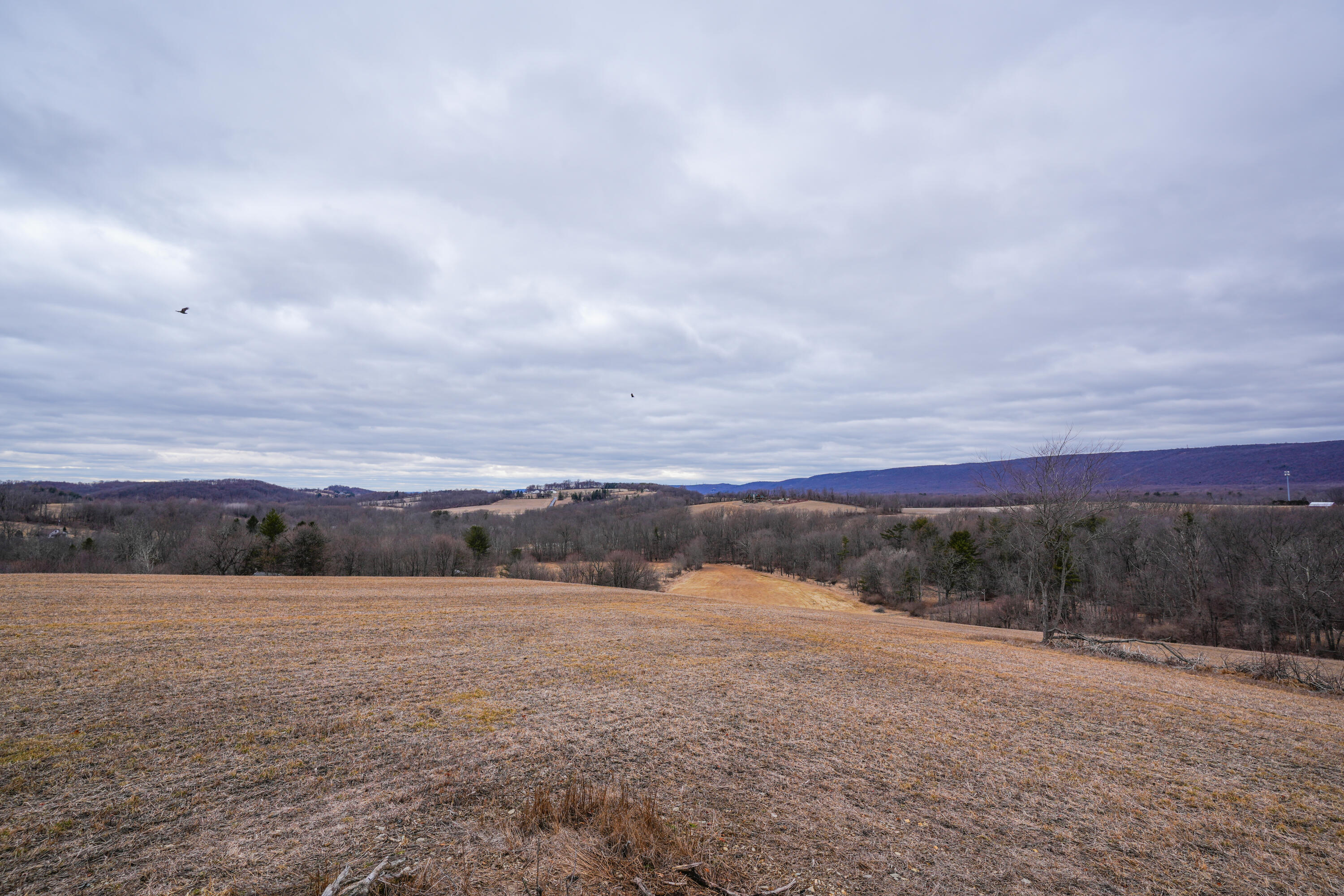 2929 Derhammer Road, Bath, Pennsylvania image 1