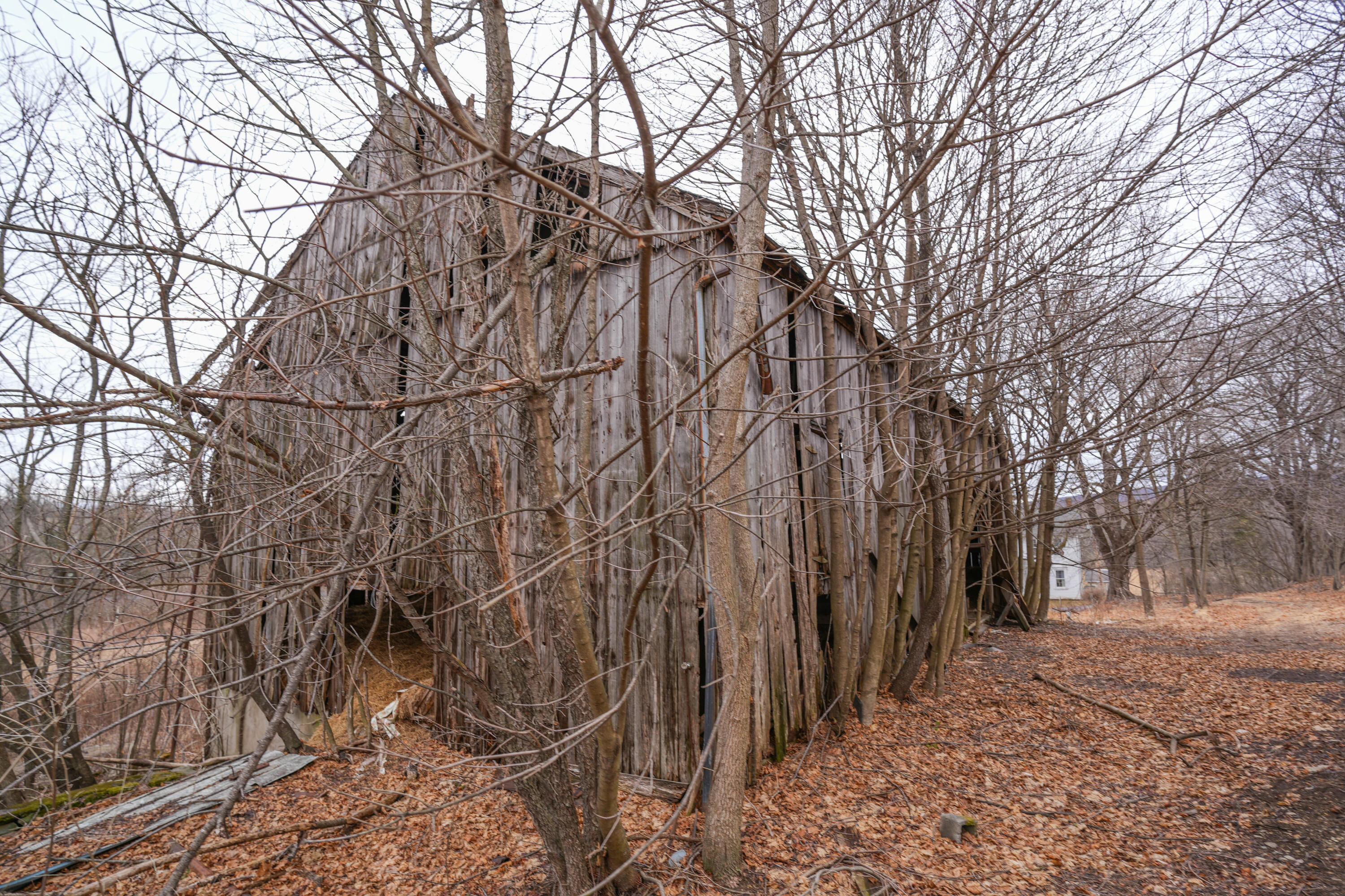 2929 Derhammer Road, Bath, Pennsylvania image 30