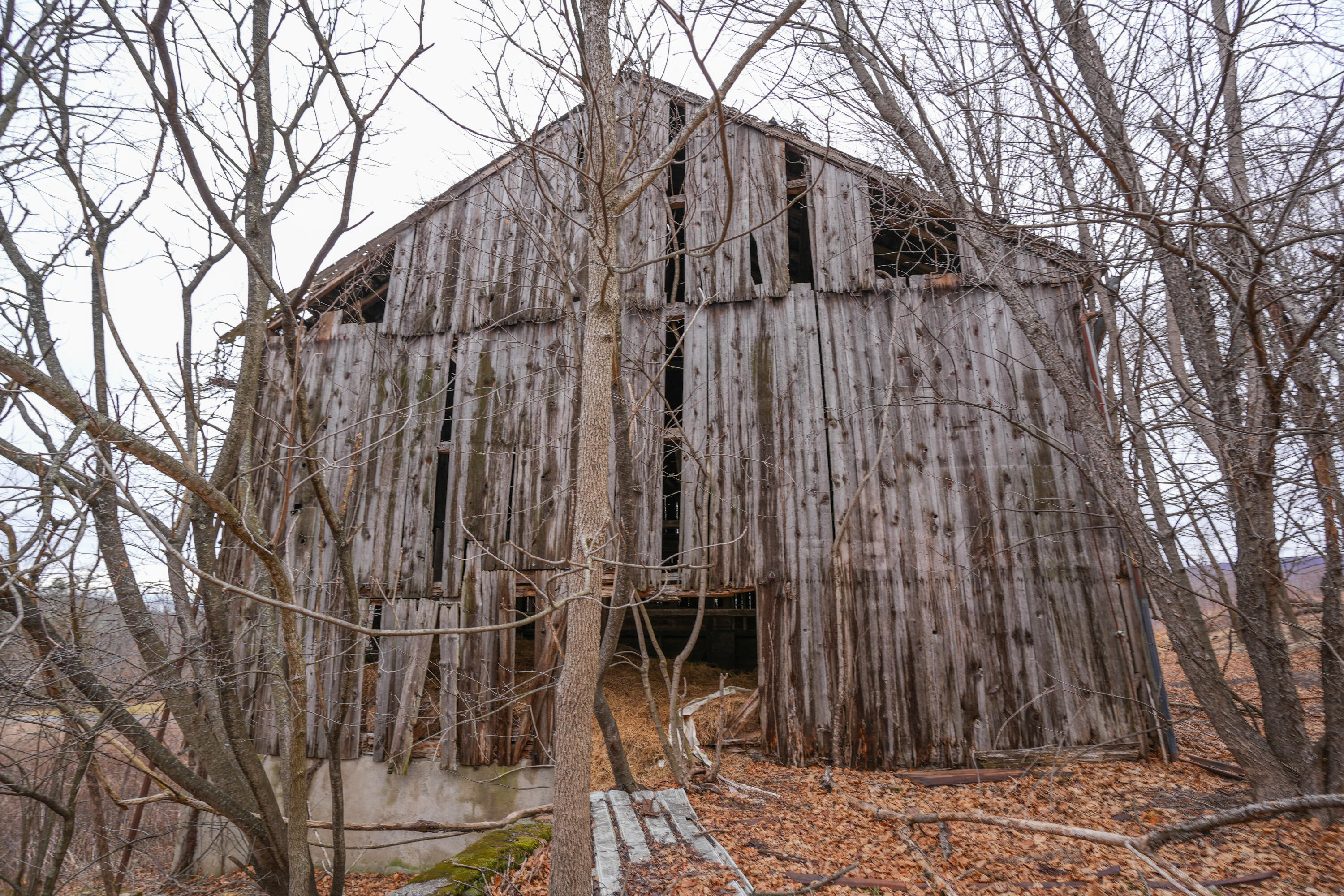2929 Derhammer Road, Bath, Pennsylvania image 29