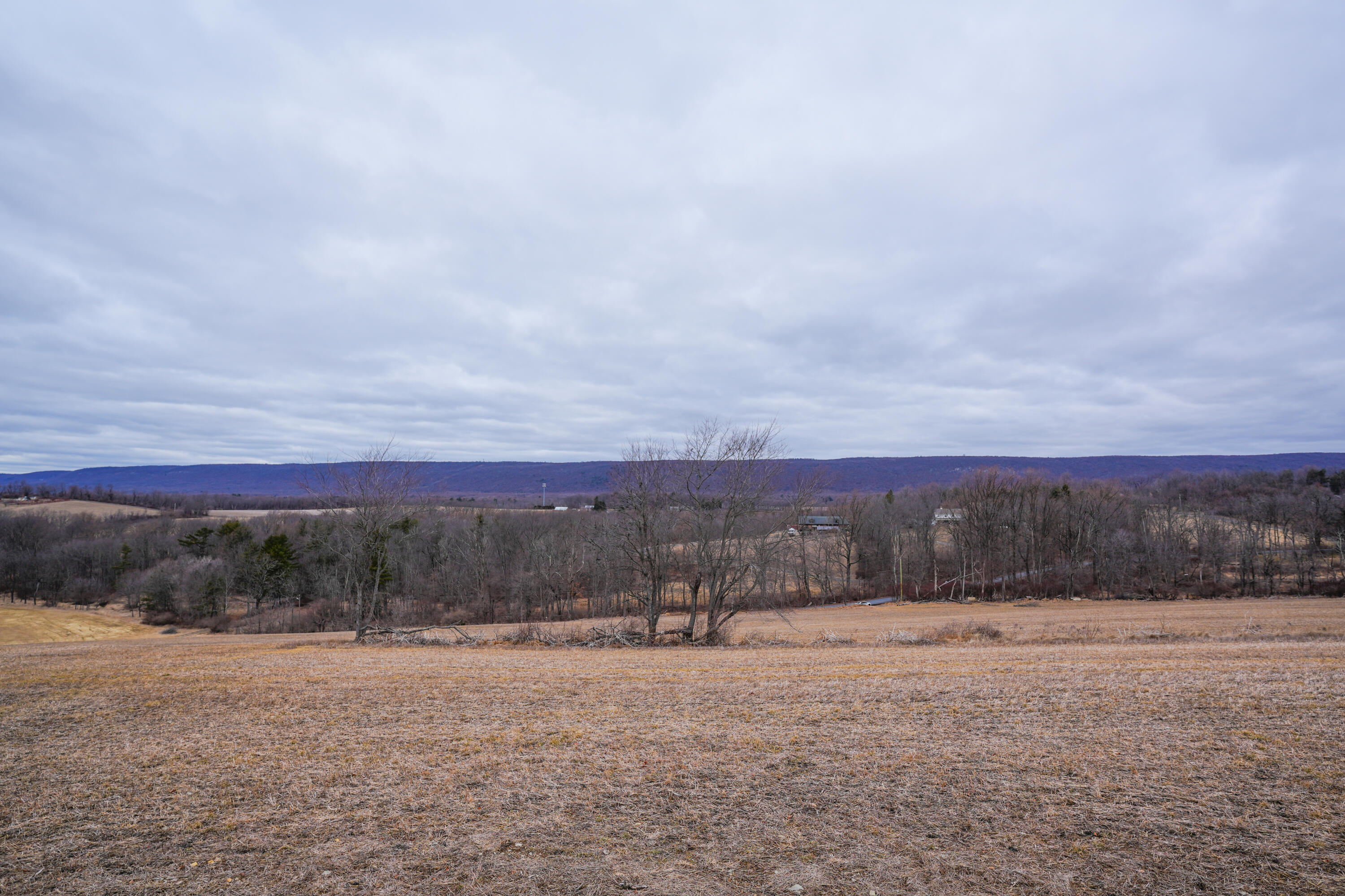 2929 Derhammer Road, Bath, Pennsylvania image 22
