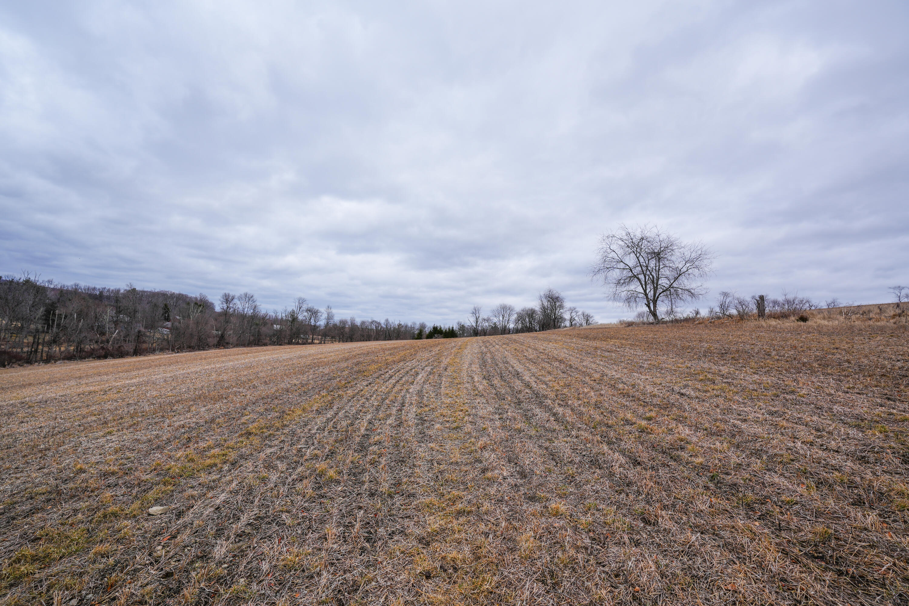 2929 Derhammer Road, Bath, Pennsylvania image 11