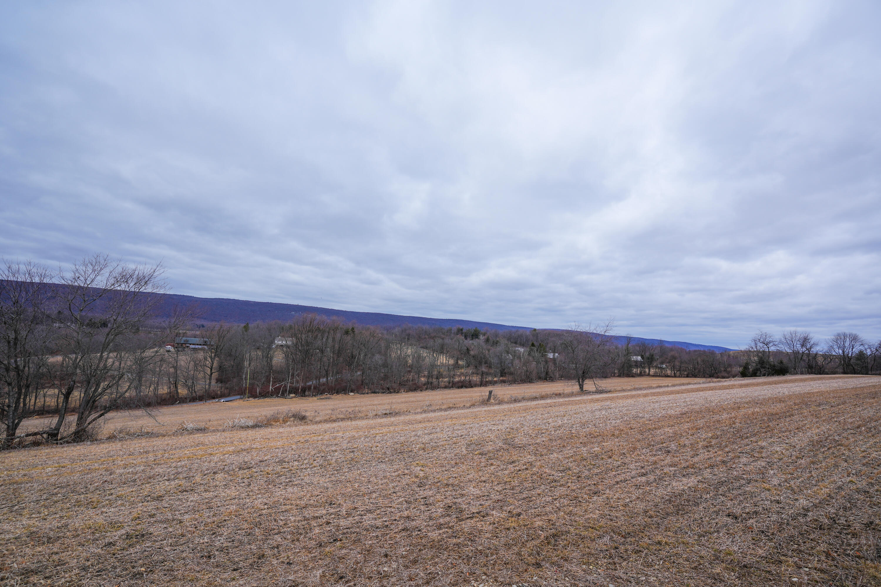 2929 Derhammer Road, Bath, Pennsylvania image 15