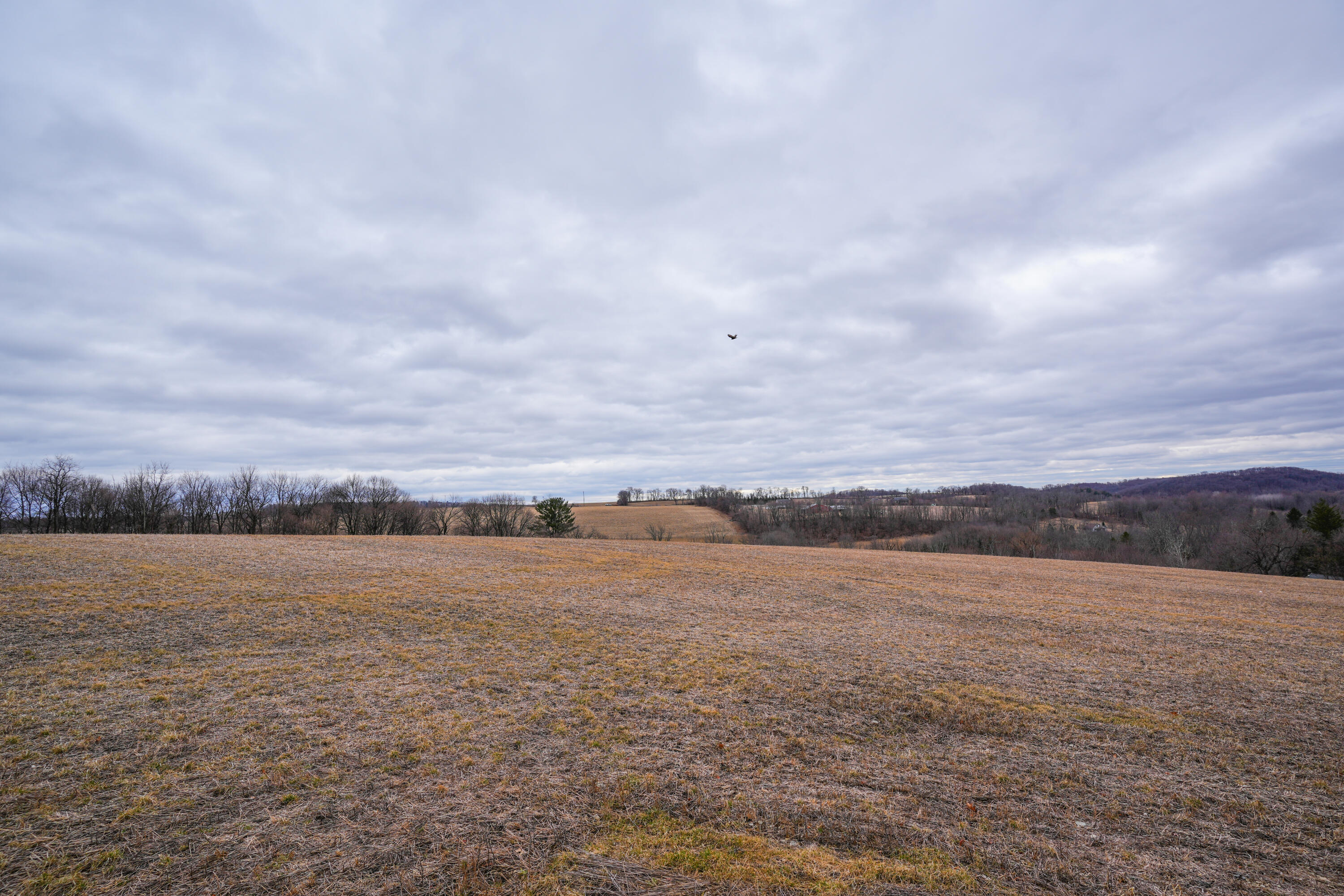 2929 Derhammer Road, Bath, Pennsylvania image 19