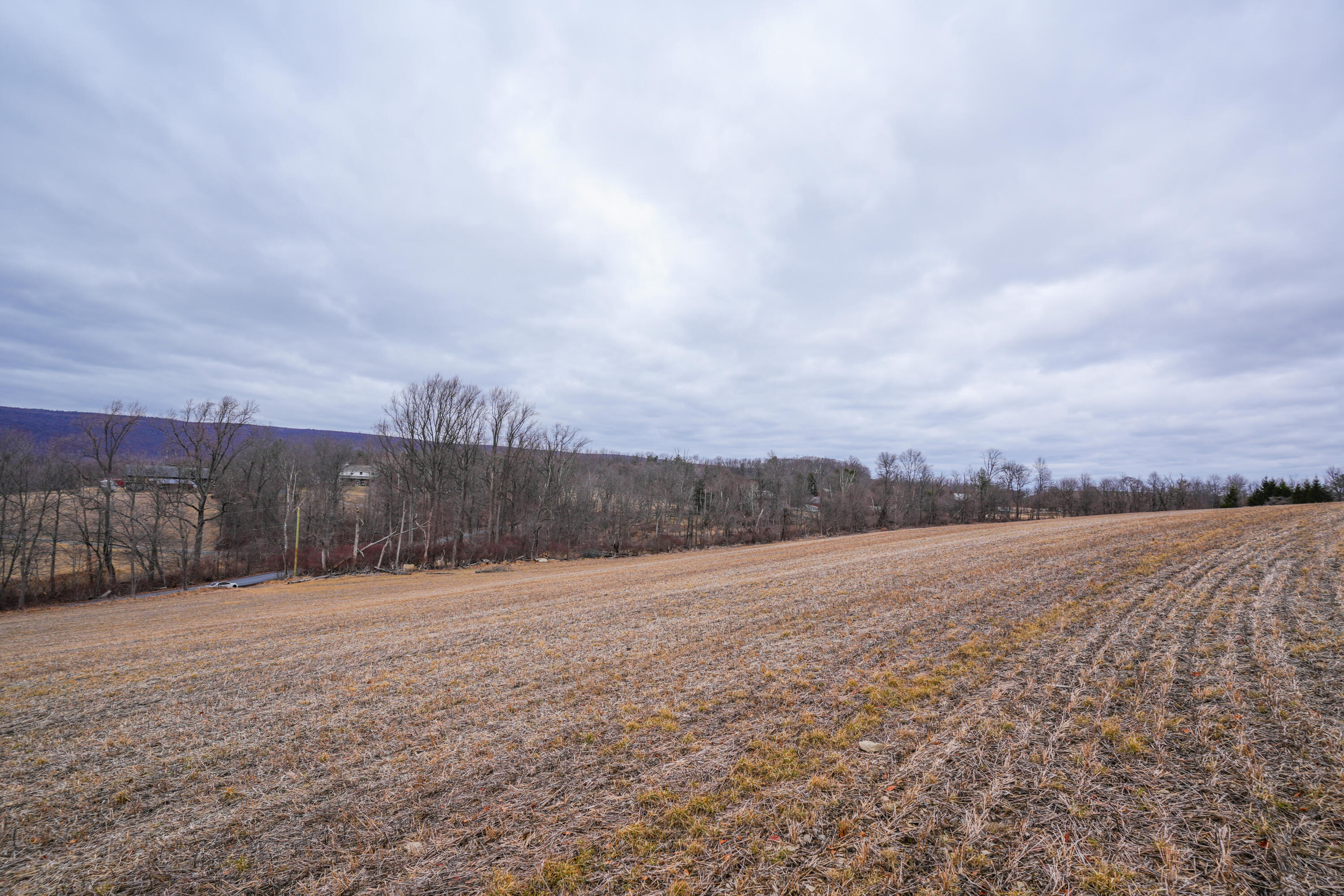 2929 Derhammer Road, Bath, Pennsylvania image 10