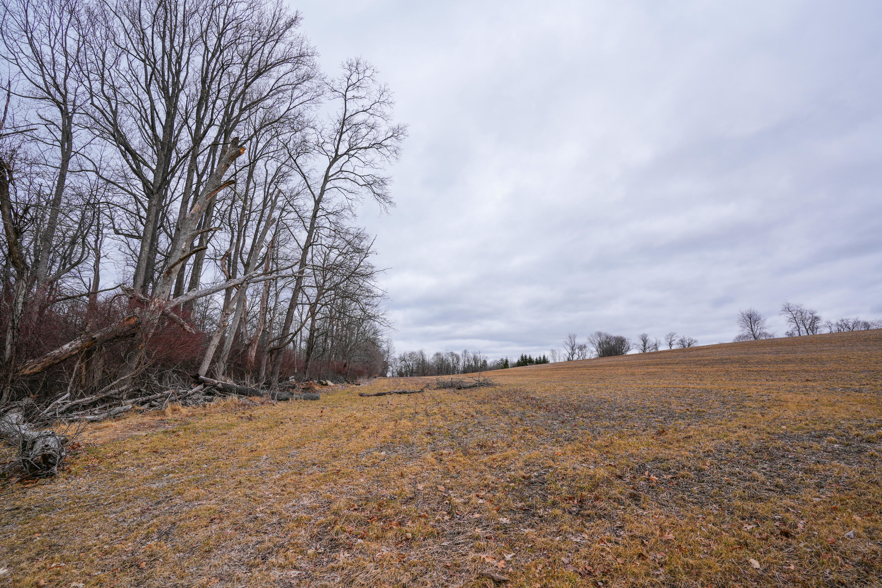 2929 Derhammer Road, Bath, Pennsylvania image 4