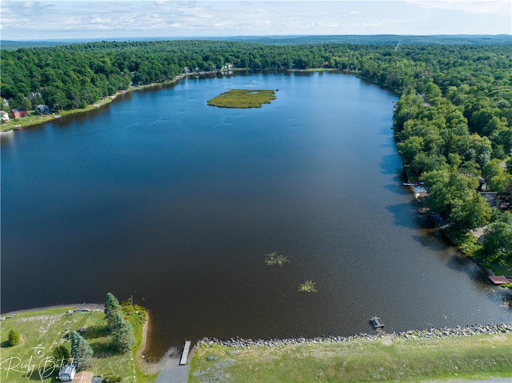 1918 Horseshoe Bend, Tobyhanna, Pennsylvania image 34