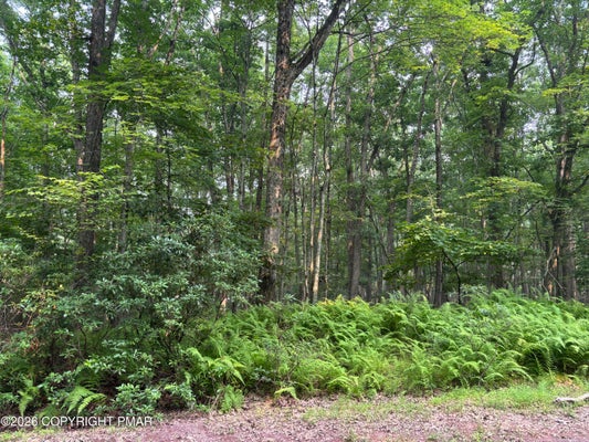 COUGAR DRIVE, WHITE HAVEN, PA 18661 - Image 2bce1edce0eeb12732ada63e491a220f/3821867743