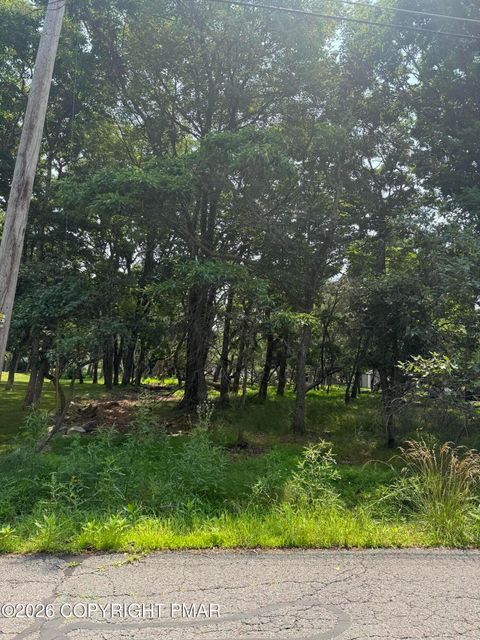 Vacant Land For Sale - Caddo Terrace<br/> Albrightsville, PA 18210