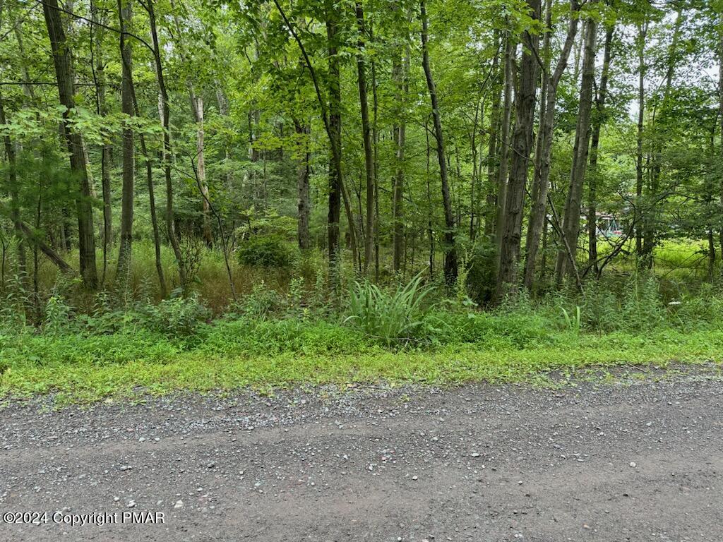 Hilltop Court, East Stroudsburg, Pennsylvania image 1