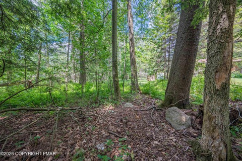 Vacant Land For Sale - Beechwood Rd 5<br/> Blakeslee, PA 18610