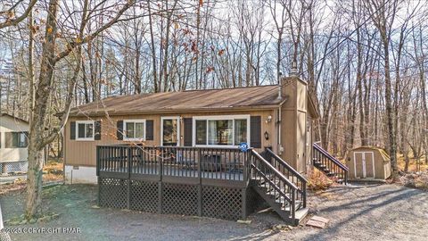 272 Wyalusing Drive Pocono Lake PA 18347