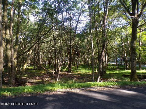 Vacant Land For Sale - LOT 709A Wintergreen Trail<br/> Albrightsville, PA 18210