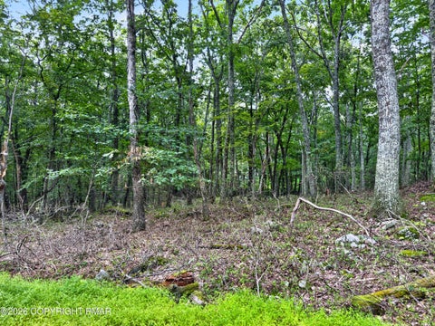 Vacant Land For Sale - Cowaw Road<br/> Milford, PA 18337