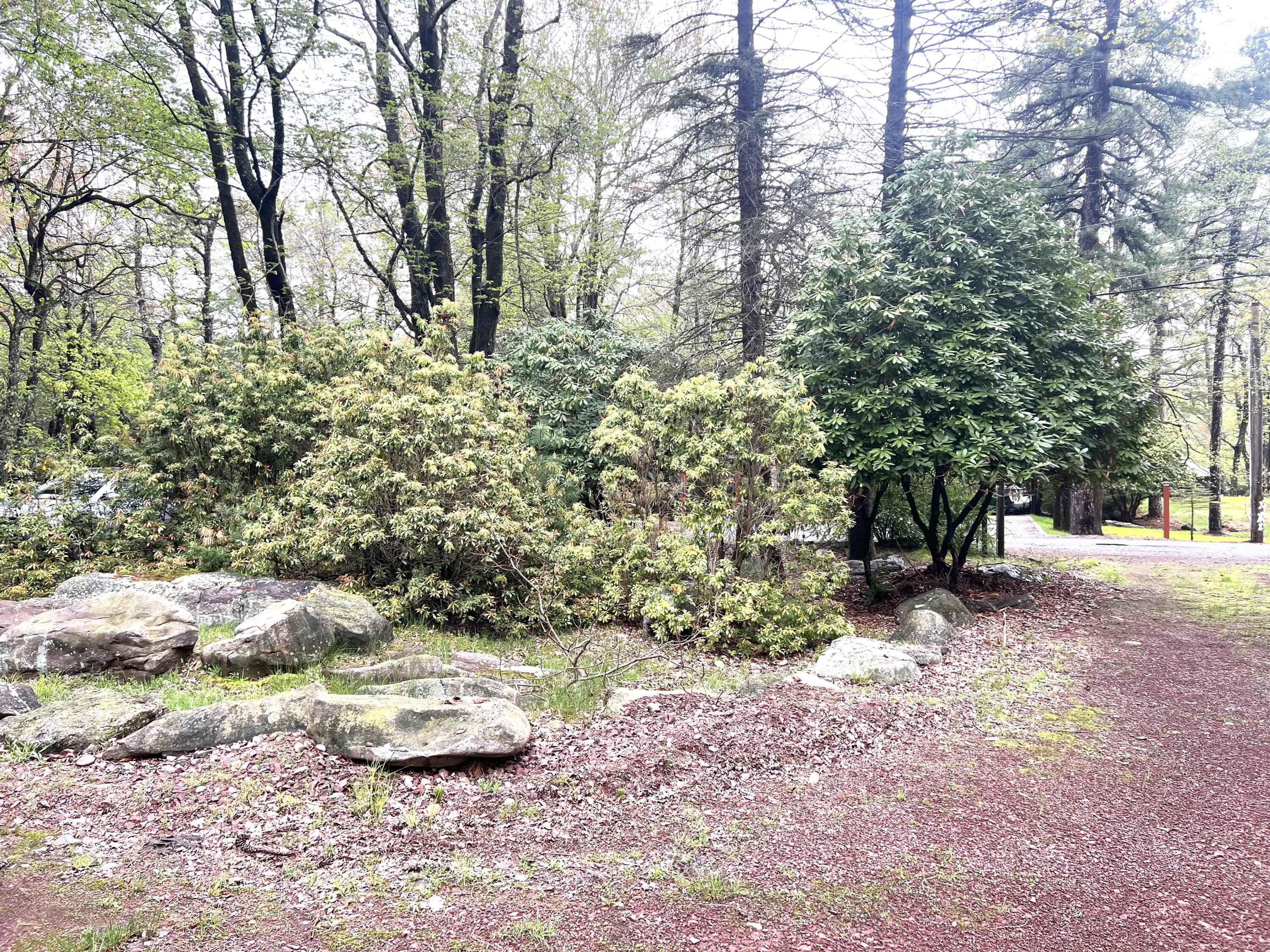 29 Beechwood Road, Lake Harmony, Pennsylvania image 19