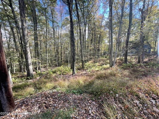 MOUNTAIN ASH LANE, WHITE HAVEN, PA 18661 - Image 301dcd844d9e83e0c4b52f12efcf9867/3652245083