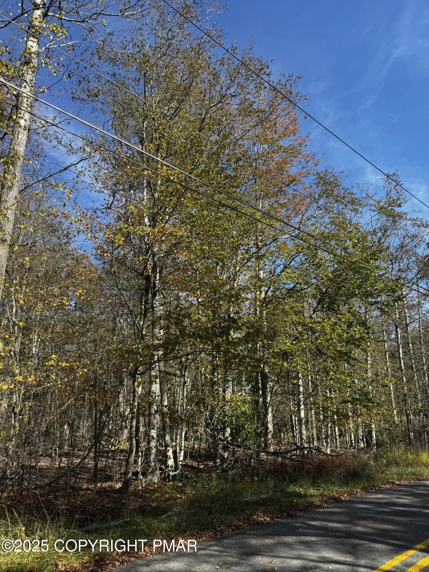 Red Spruce Road Lot 53