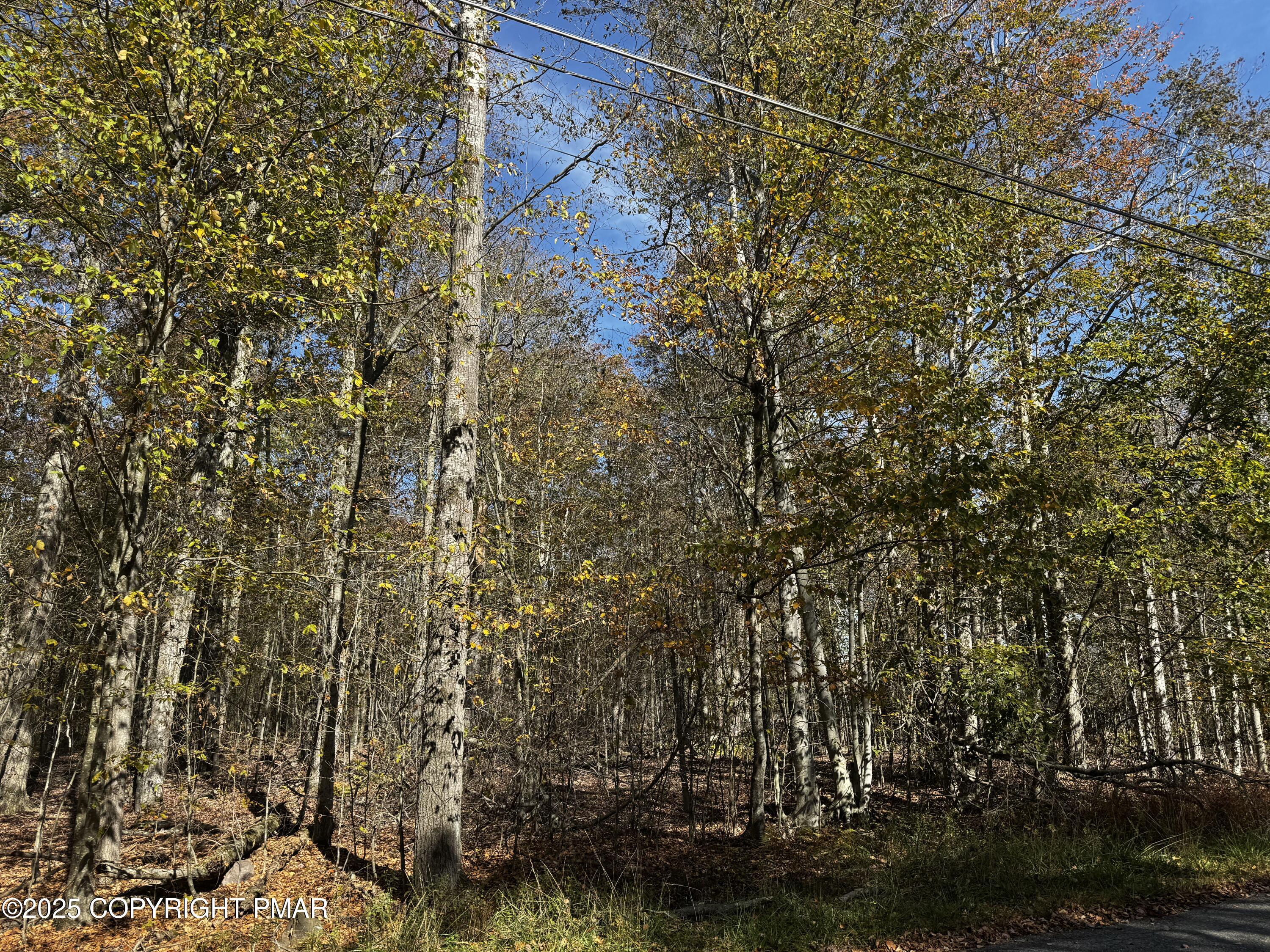 Red Spruce Road Lot 53