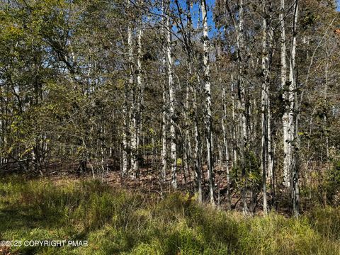 Vacant Land For Sale - Red Spruce Road<br/> Pocono Pines, PA 18350