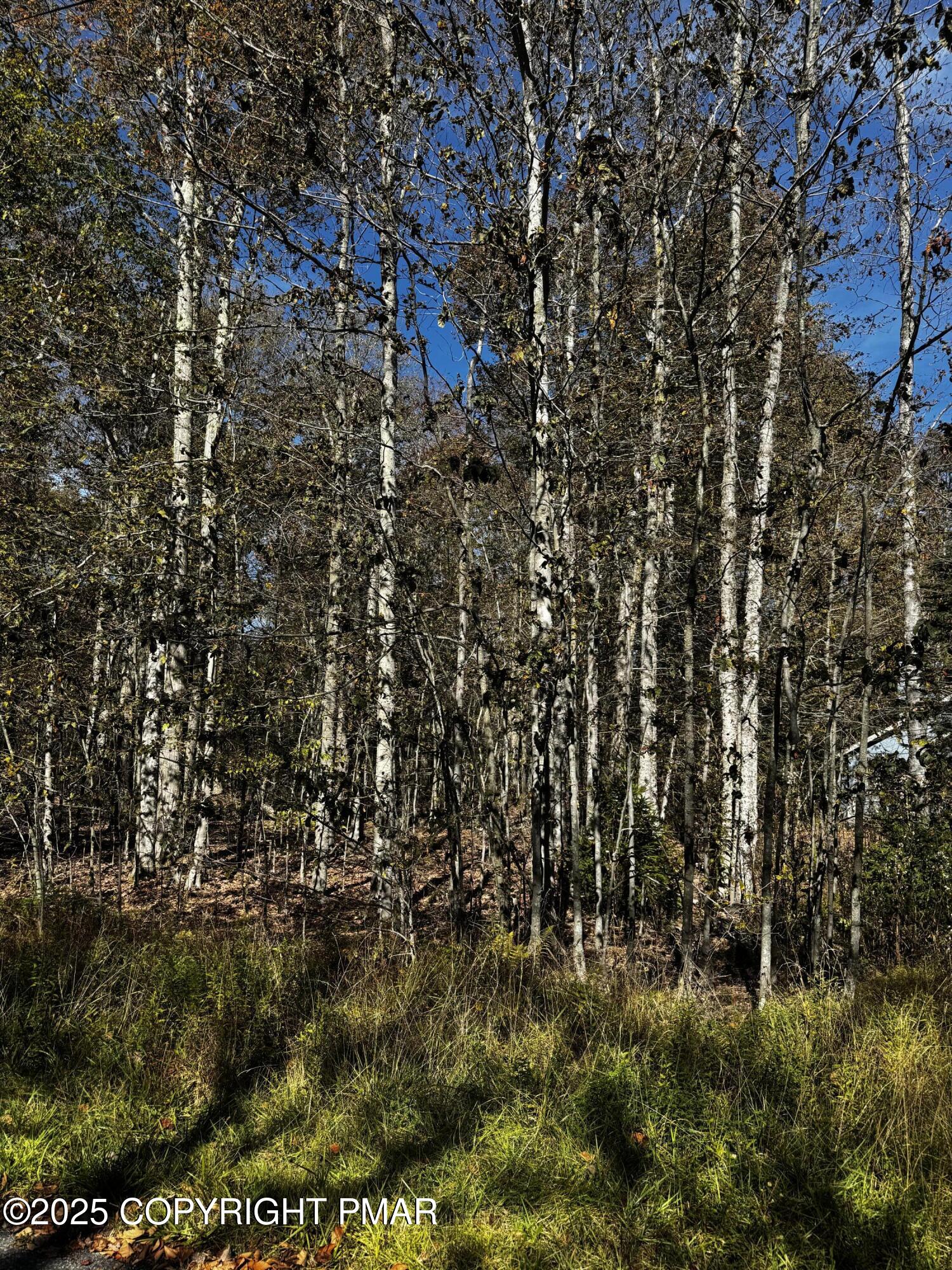 Red Spruce Road Lot 53