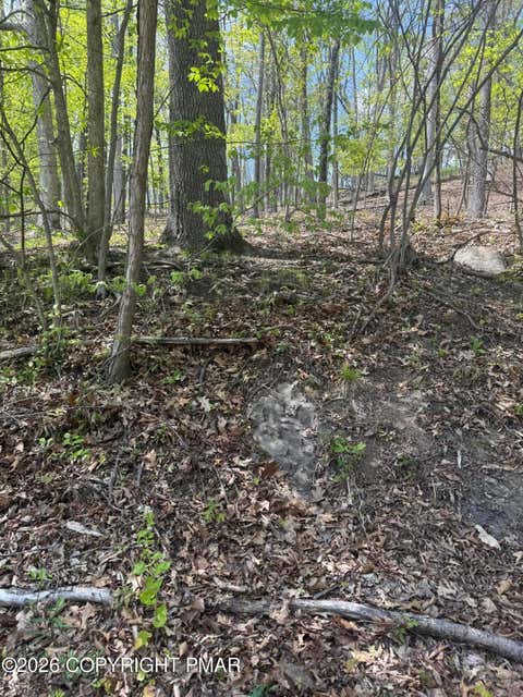 Vacant Land For Sale - Burgoon Road<br/> East Stroudsburg, PA 18301