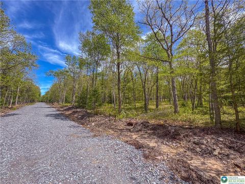 Vacant Land For Sale - LOT 567 Cross Run Road<br/> Jim Thorpe, PA 18229
