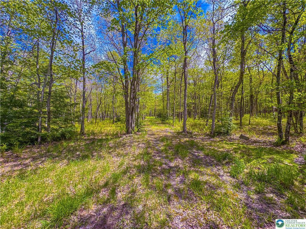 Lot 567 Cross Run Road, Jim Thorpe, Pennsylvania image 3