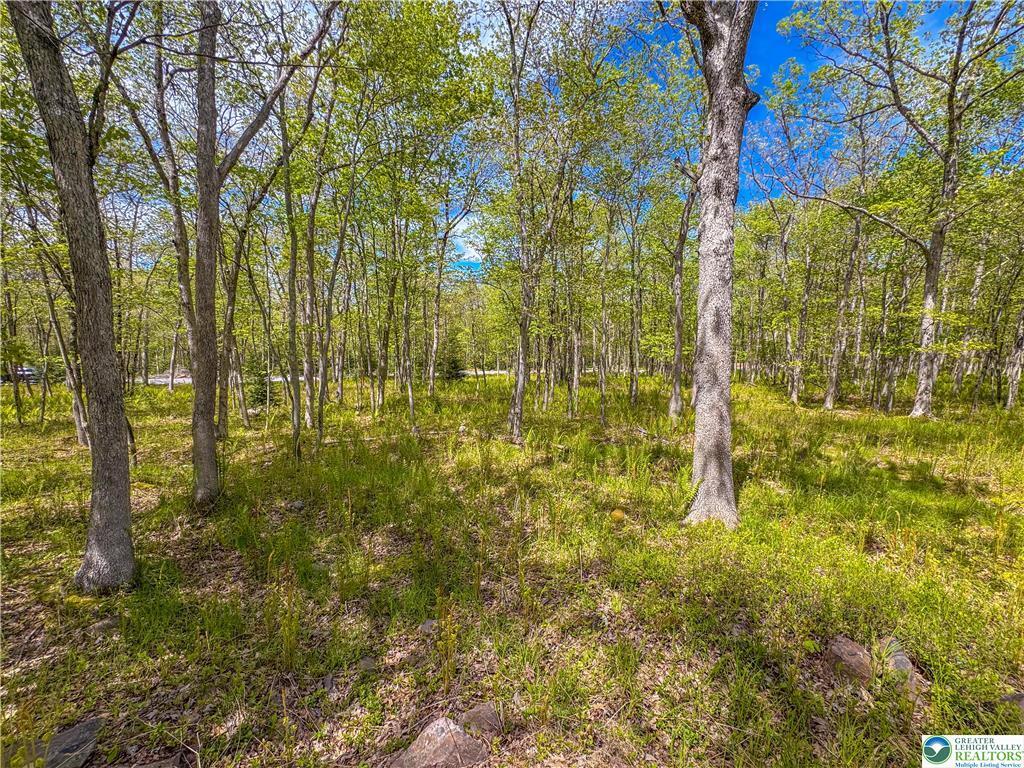 Lot 567 Cross Run Road, Jim Thorpe, Pennsylvania image 4